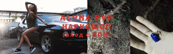 винт Богданович