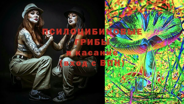винт Богданович
