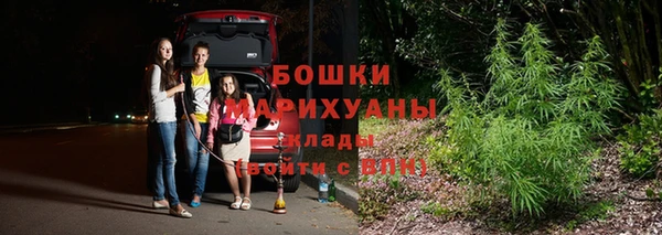 mdpv Богородск